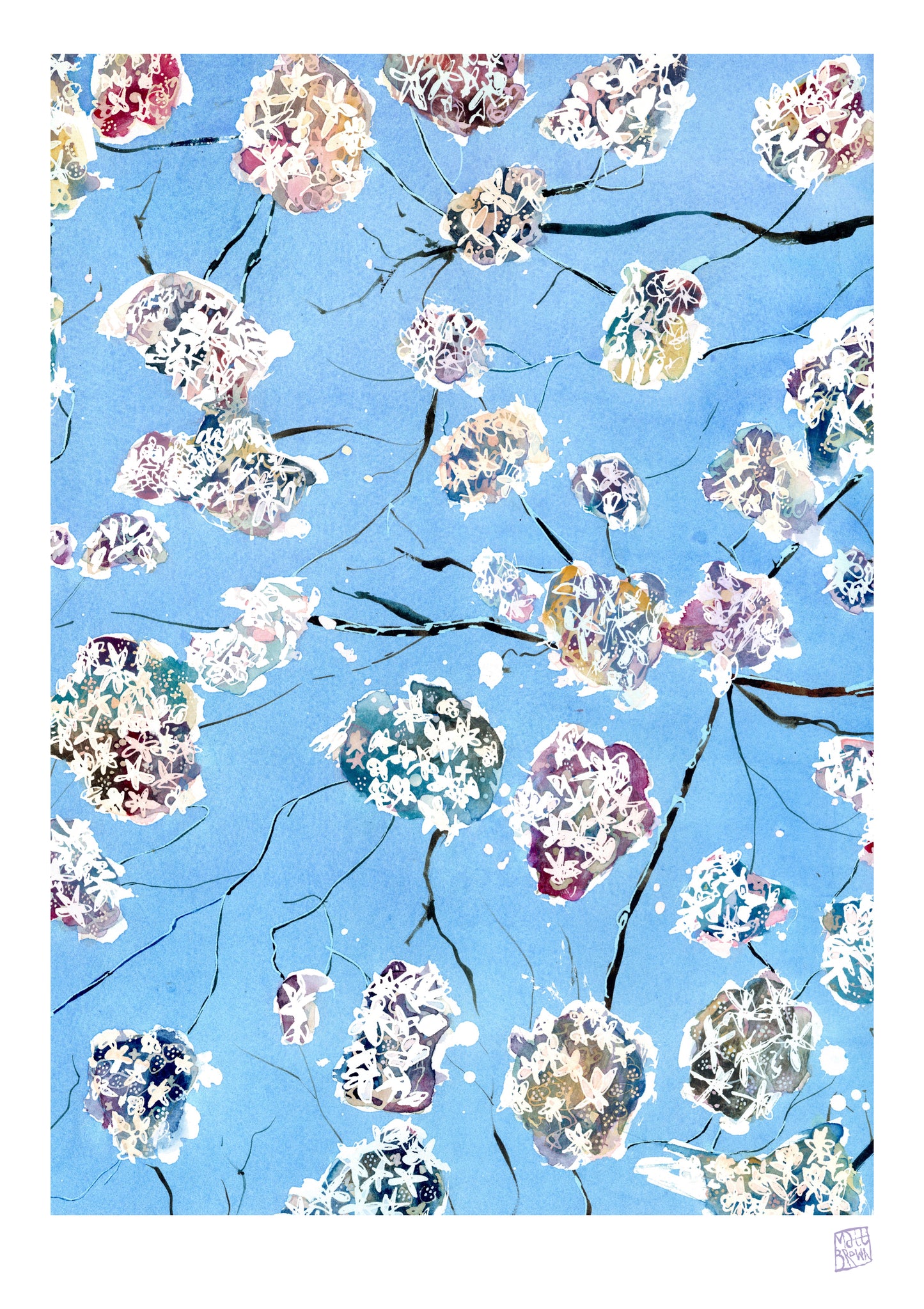 New A1 | A2 Limited Edition Print - Apple Blossom