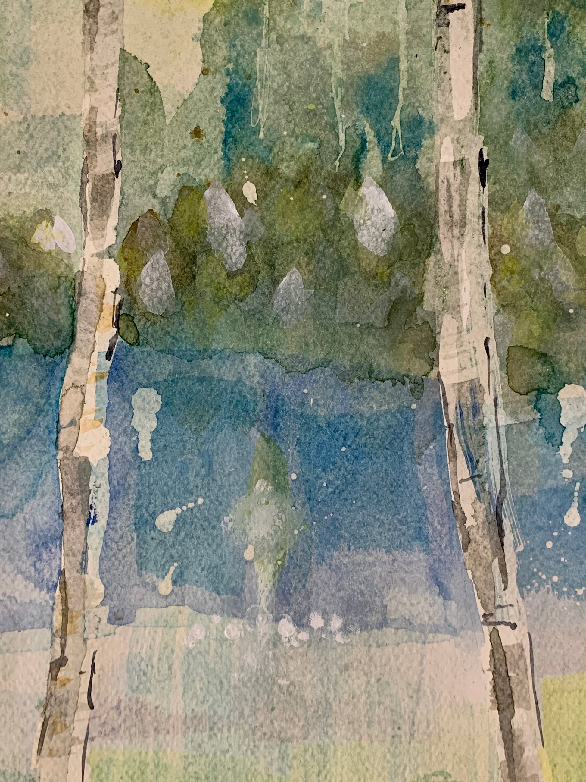 Silver birch trees painted in Schminke watercolours